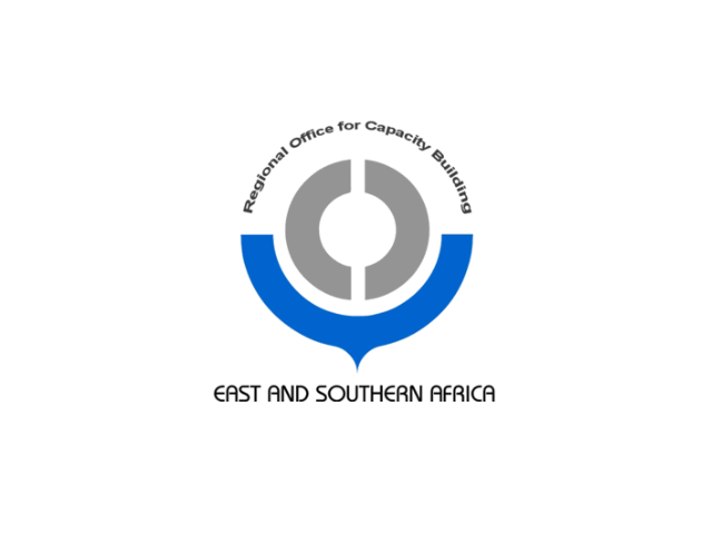 southern africa customs consultants