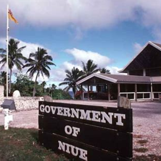 governement niue customs consultants
