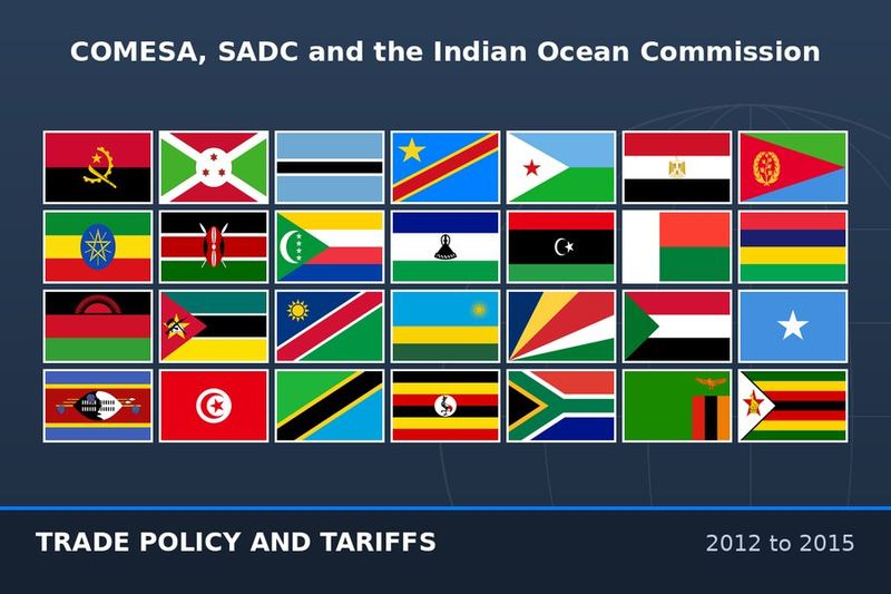 Represented and negotiated for Mauritius at the COMESA Heads of Customs, the SADC Sub-Committee on Customs Cooperation and the Indian Ocean Commission, managing migration to the COMESA Common Tariff Nomenclature and Common External Tariff, domestication of the customs management regulations, and work on preferential origin, non-tariff barriers and coordinated border management..